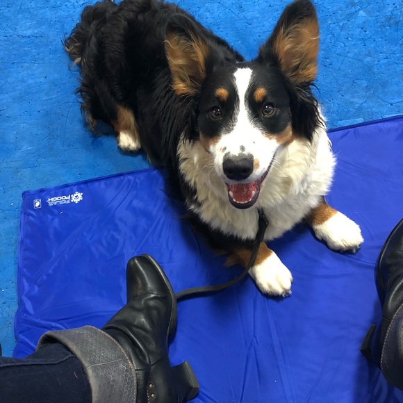 Meet your Posher, Emily - Picture 1 of 1